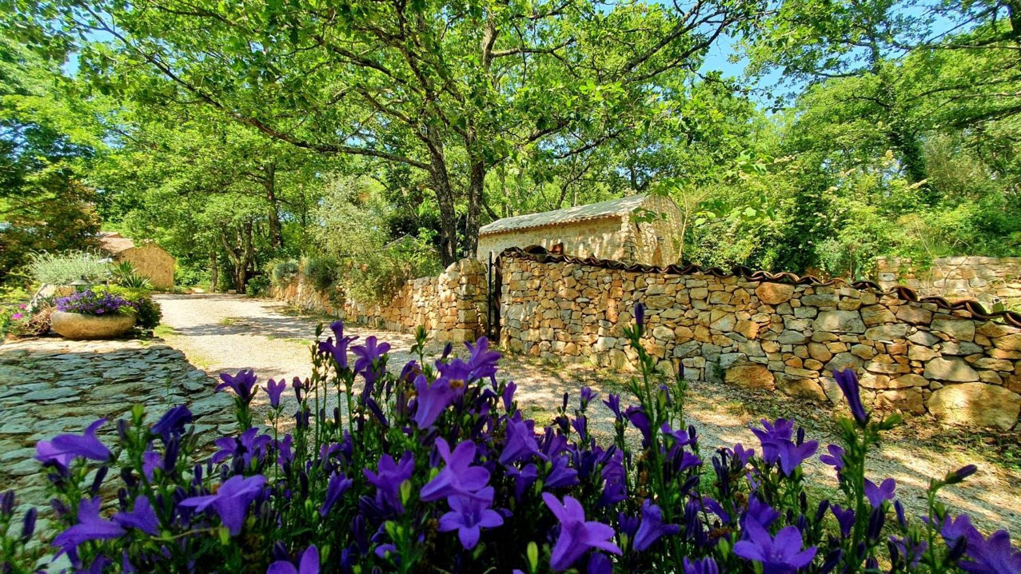 Le Donjon Des Combes Et Son Spa Fayence Exterior photo
